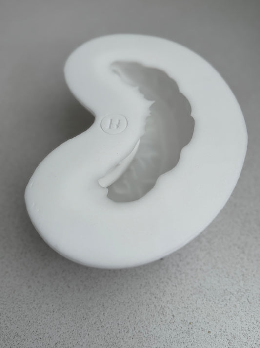 MOULE NOIX DE CAJOU XL